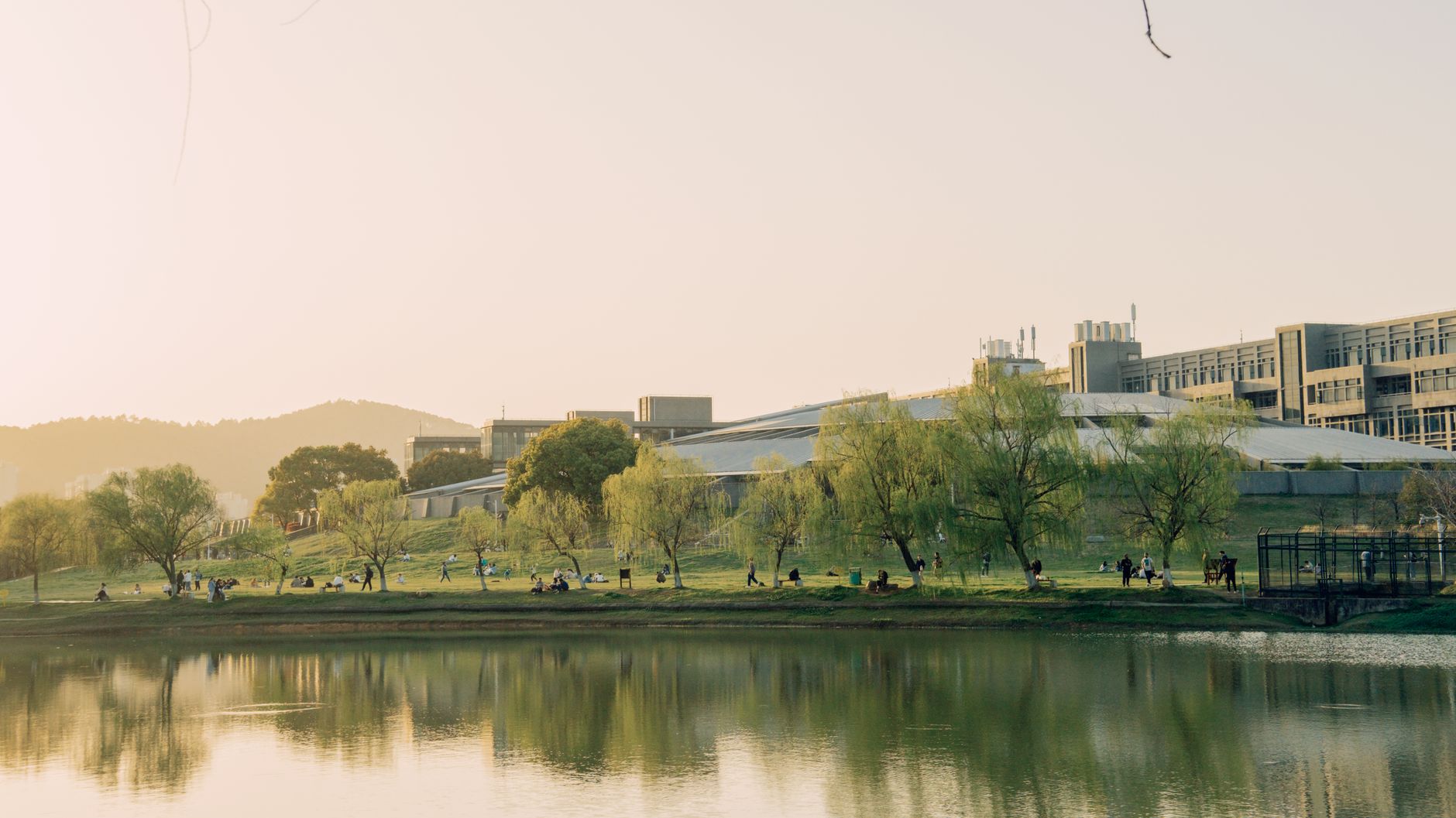 QS学科排名专业分类示意图