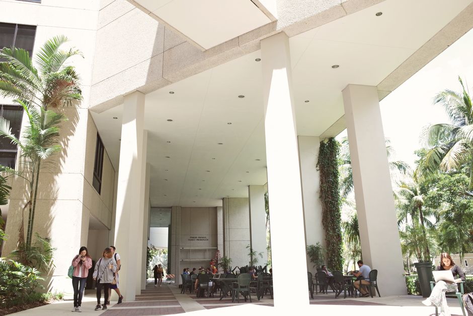 格里菲斯大学（Griffith University）社工硕士申请指南：雅思7起、AASW认证怎么达标
